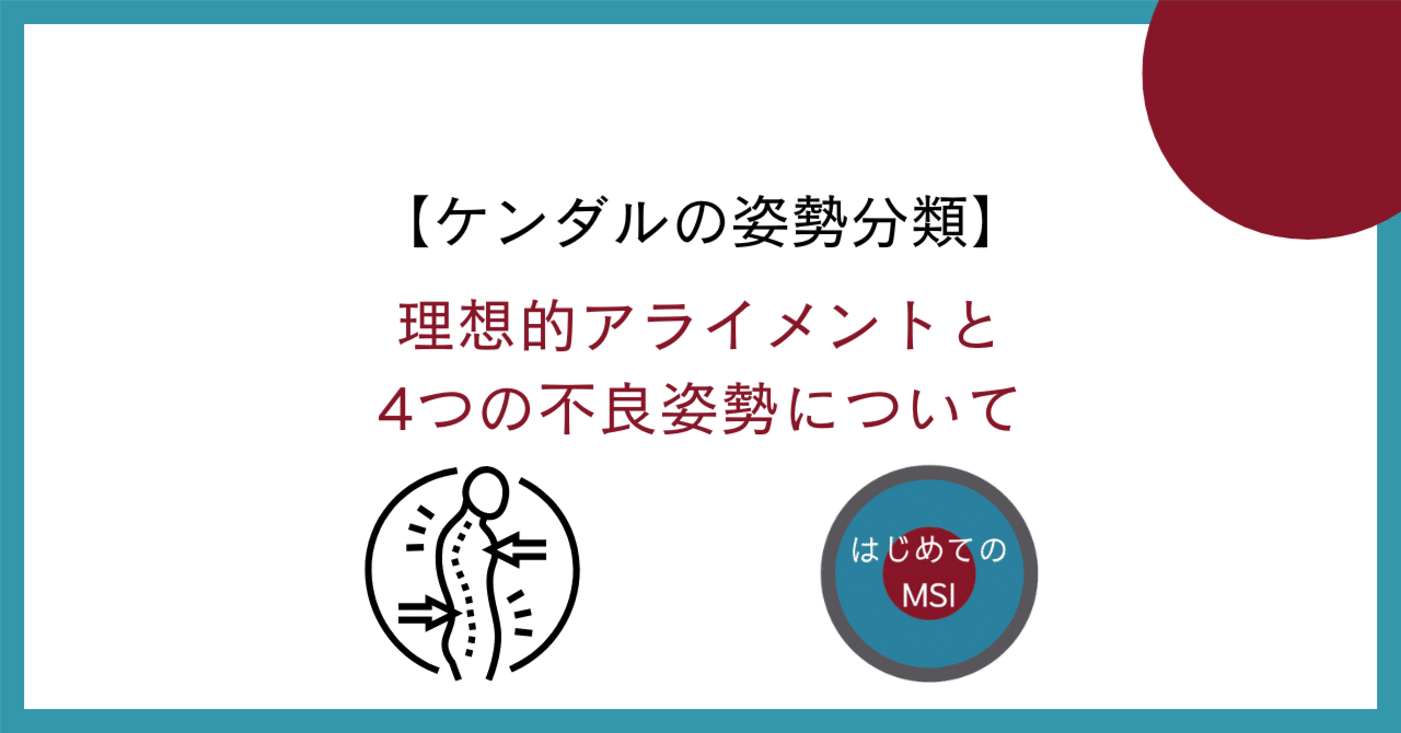 ケンダルの姿勢分類】理想的アライメントと4つの不良姿勢