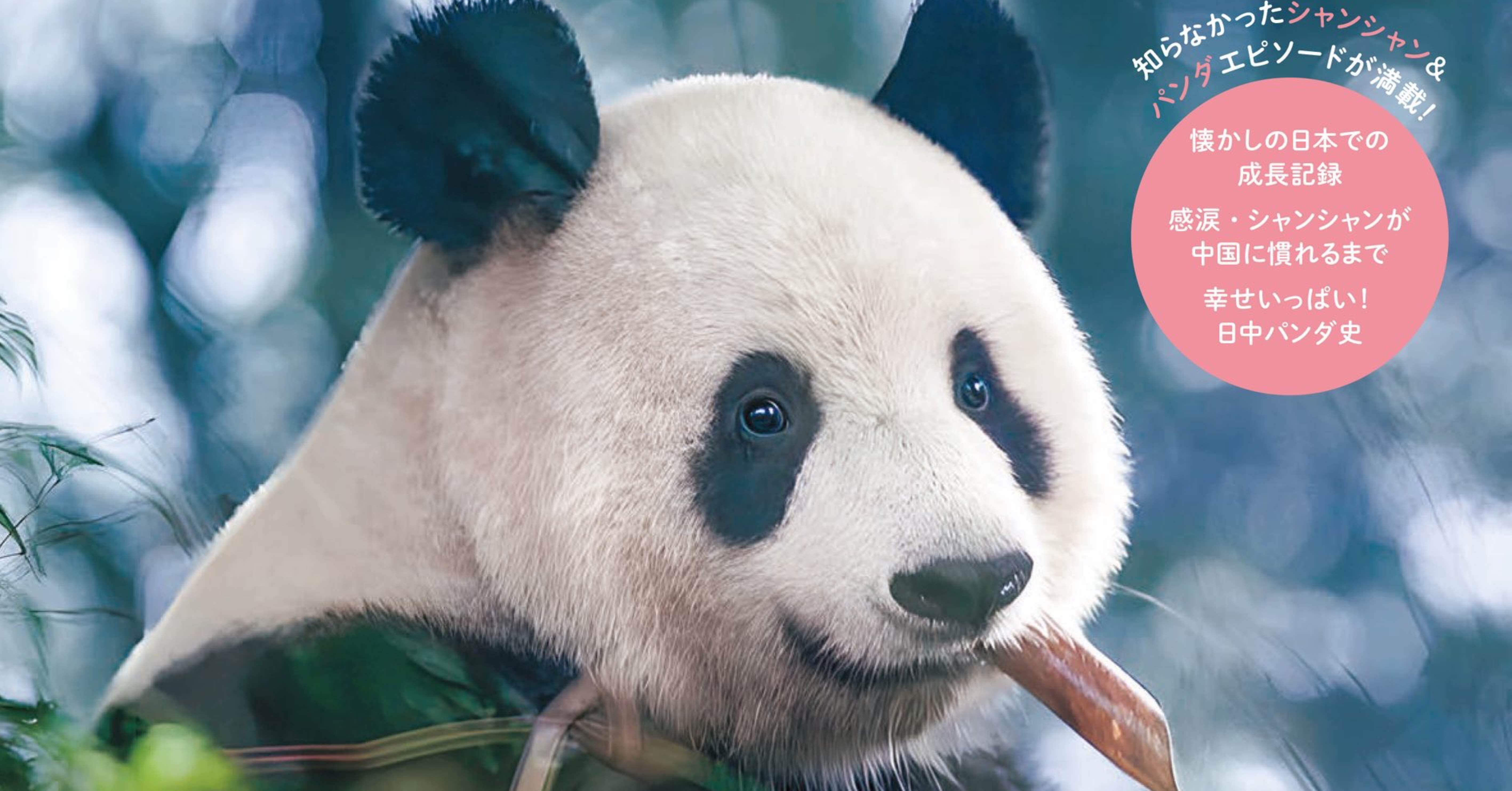 a55788f9cfaacaa45122076359c4c8