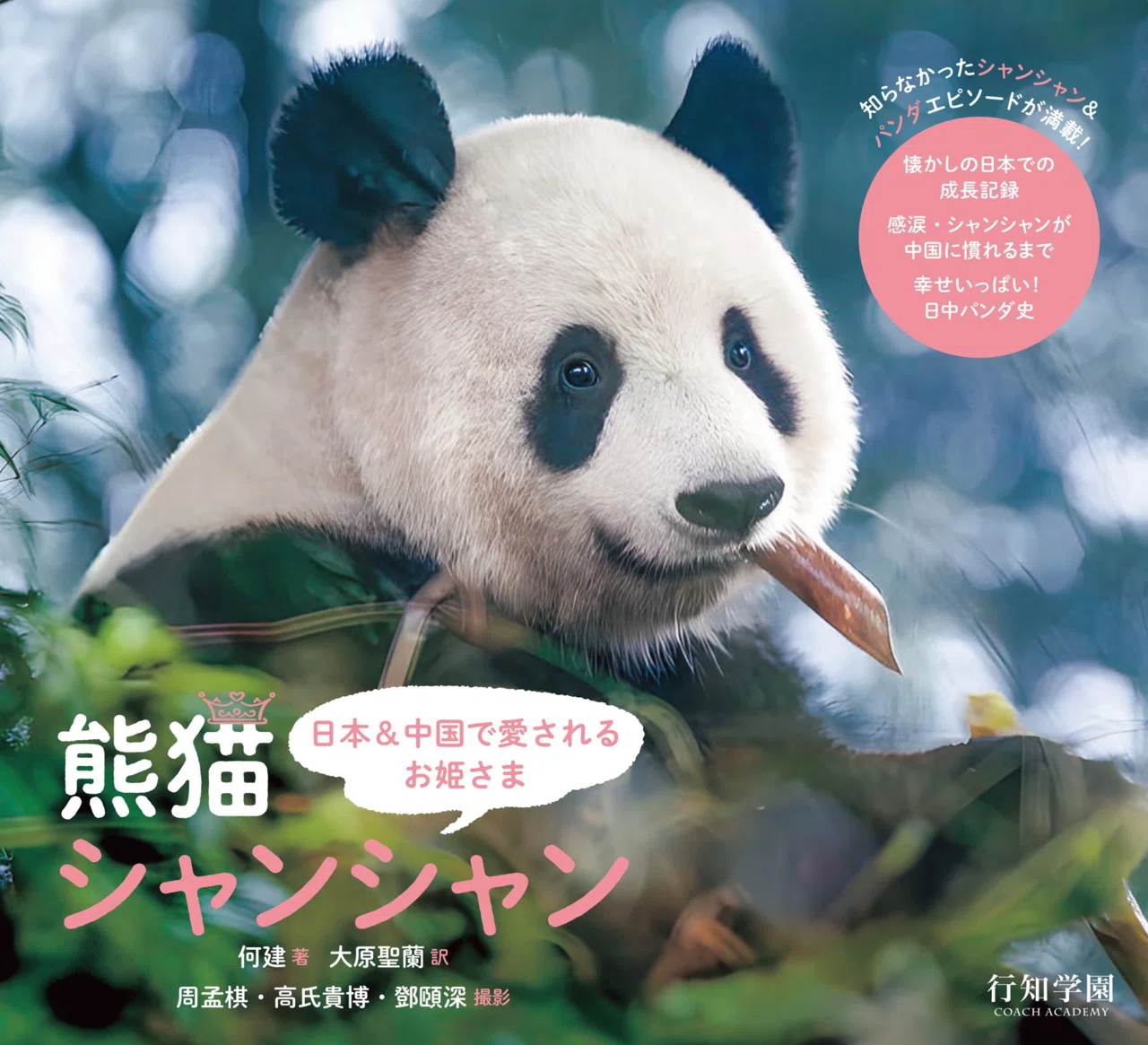 3月26日『日本＆中国で愛されるお姫さま 熊猫シャンシャン』発売