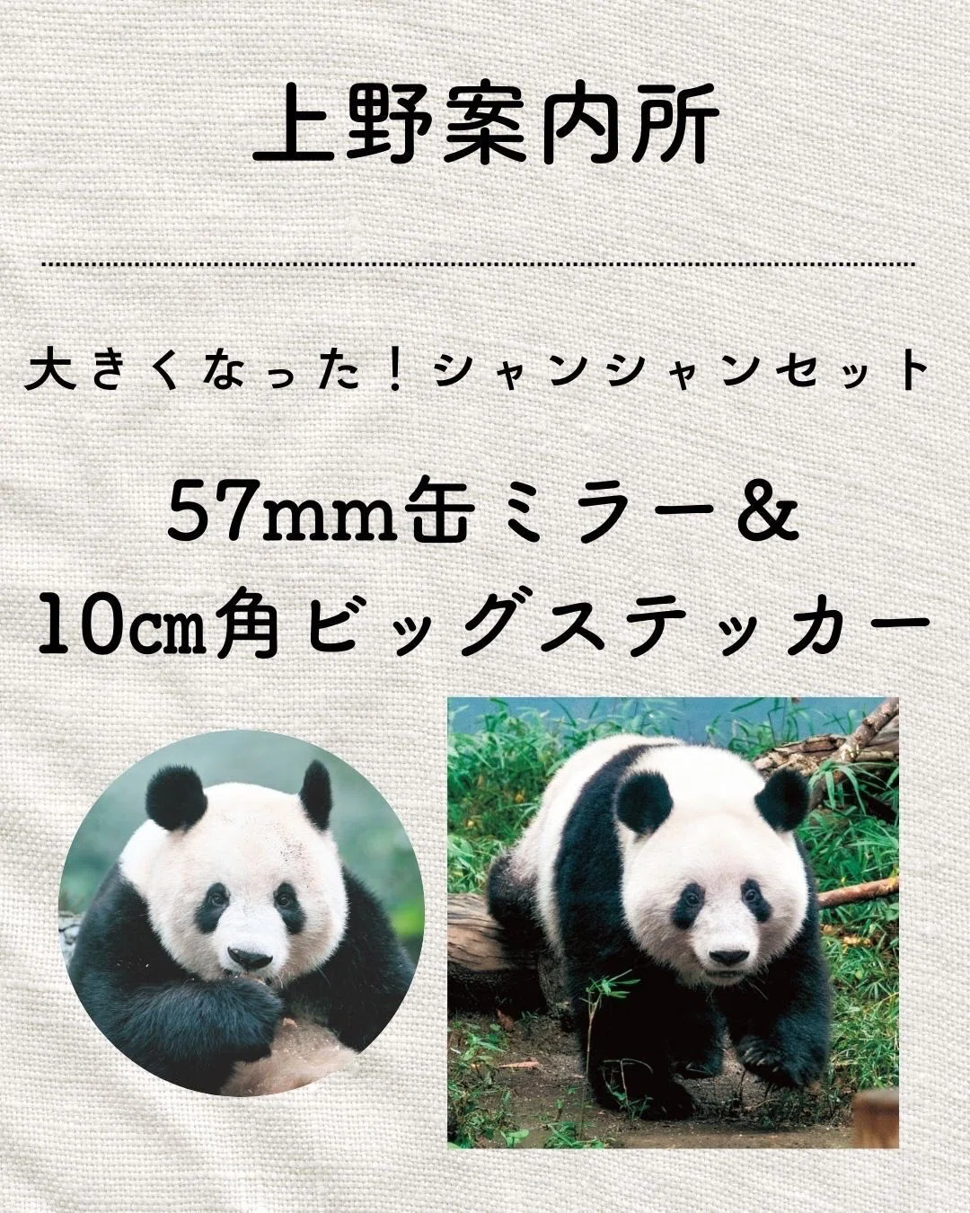 3月26日『日本＆中国で愛されるお姫さま 熊猫シャンシャン』発売
