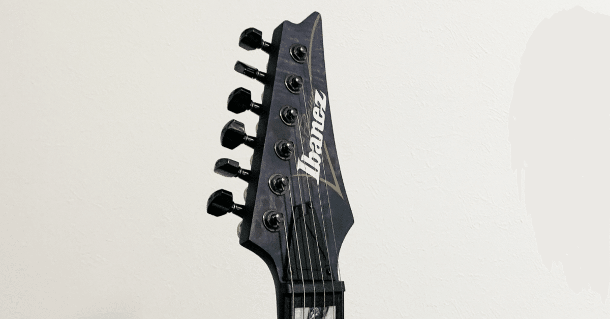 機材レビュー】Ibanez RGT1221PB-DTFを購入。軽量で気軽に弾けて