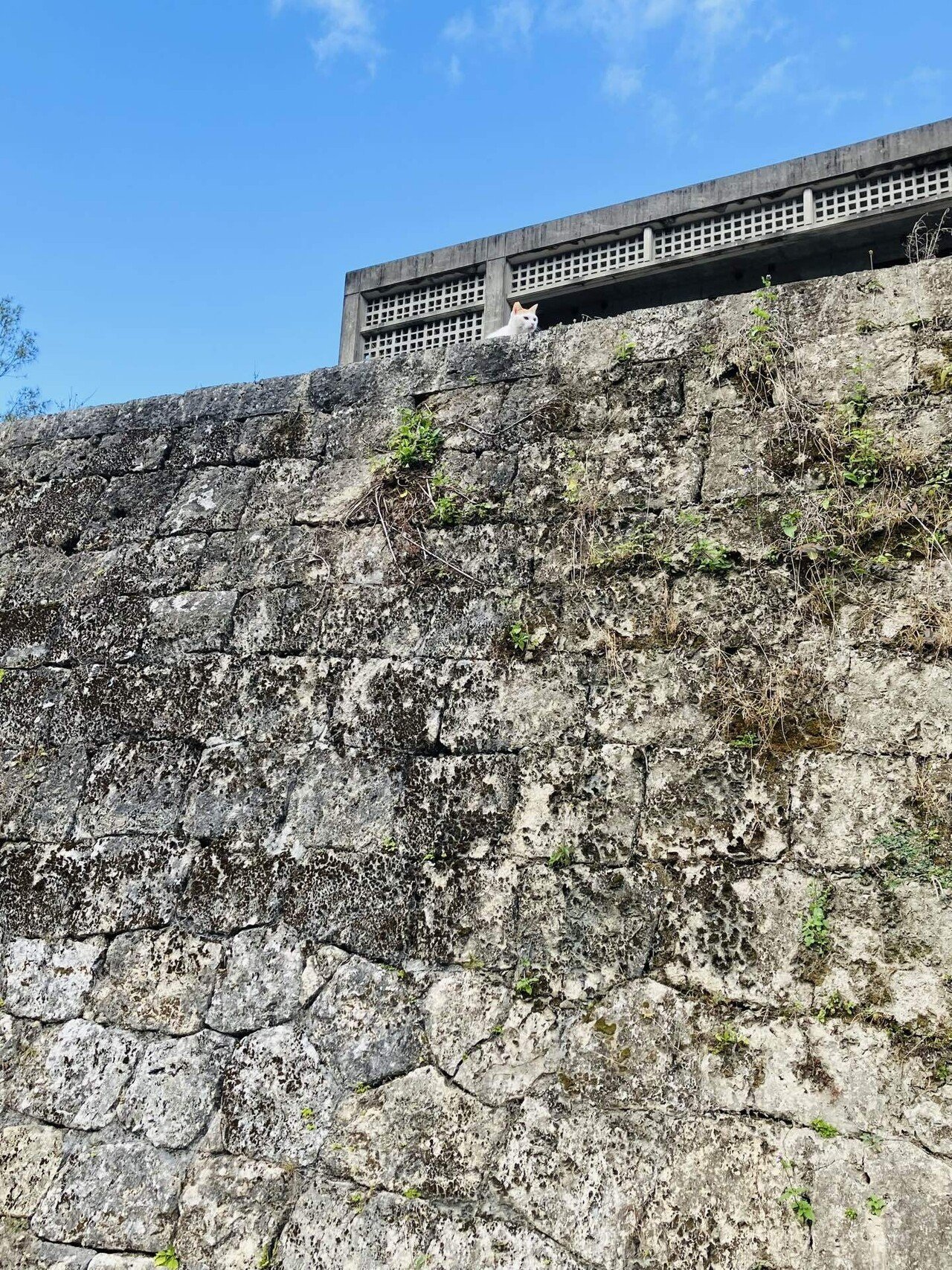 体験談】みせる再建！世界遺産首里城60分ぐるっとツアー｜SoRA