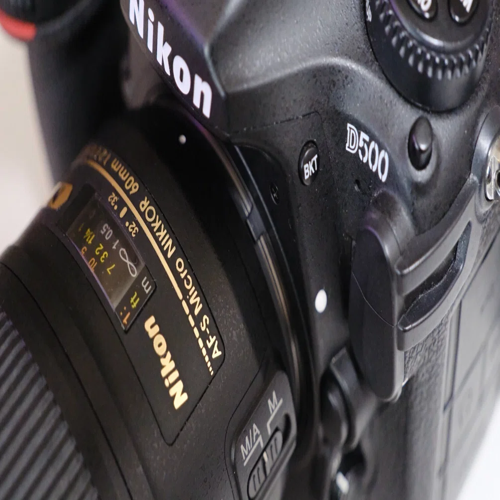 D500とAF-S Micro NIKKOR 60mm f/2.8G ED 〜 花を撮るには欠かせ