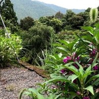 念ずれば花開く という言葉が思ってた以上に深かった話 ひろぽん 濃幸パパと幸薄パパ Note
