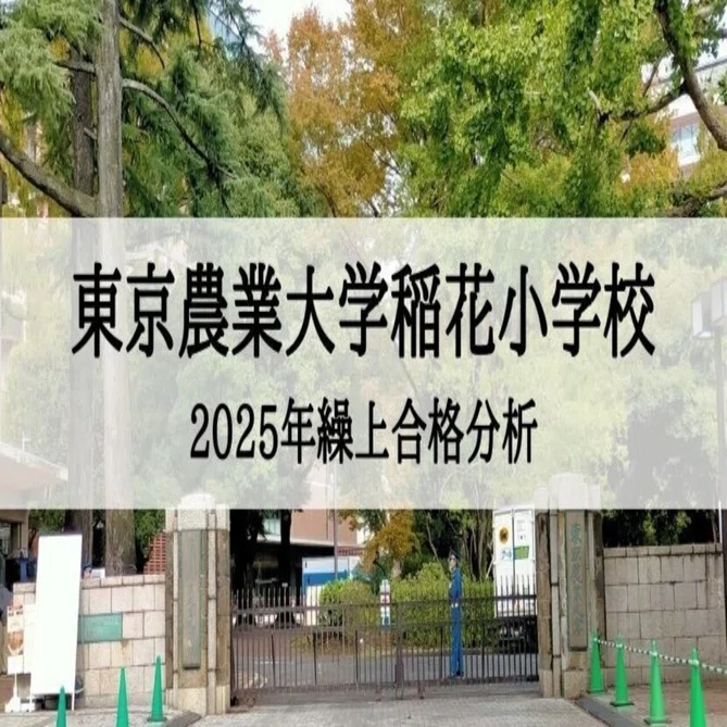 東京農業大学稲花小学校】2025年度 繰上合格徹底分析まとめ｜絶対合格