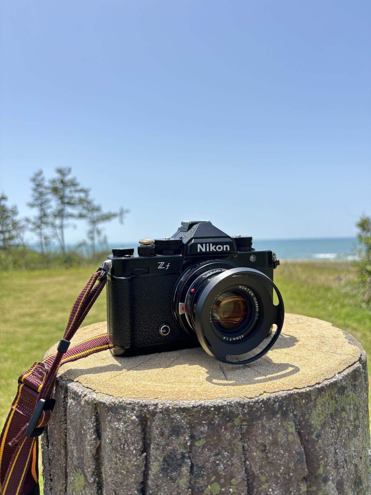 NOKTON classic 40mm F1.4SCとZf|まる NOKTON classic 40mm F1.4SCとZf|まる