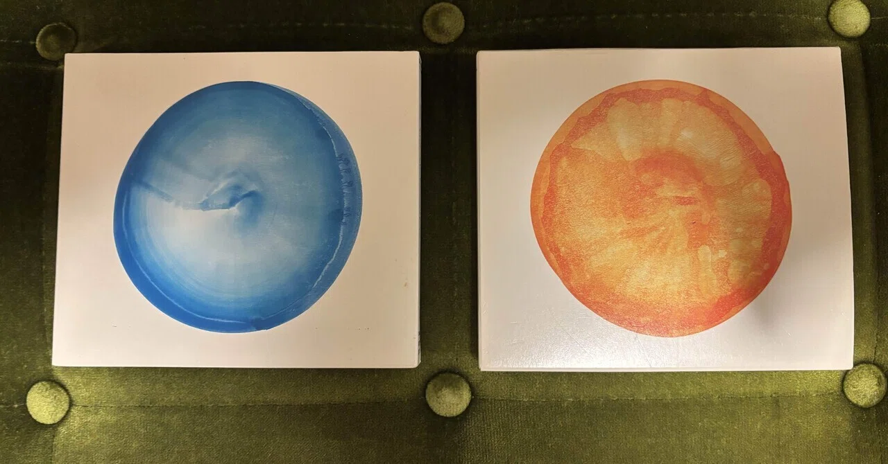 FISHMAN 2枚組 レコード　空中　宇宙 フィッシュマンズとの出会い 『空中』、『宇宙』の衝撃｜くるりん