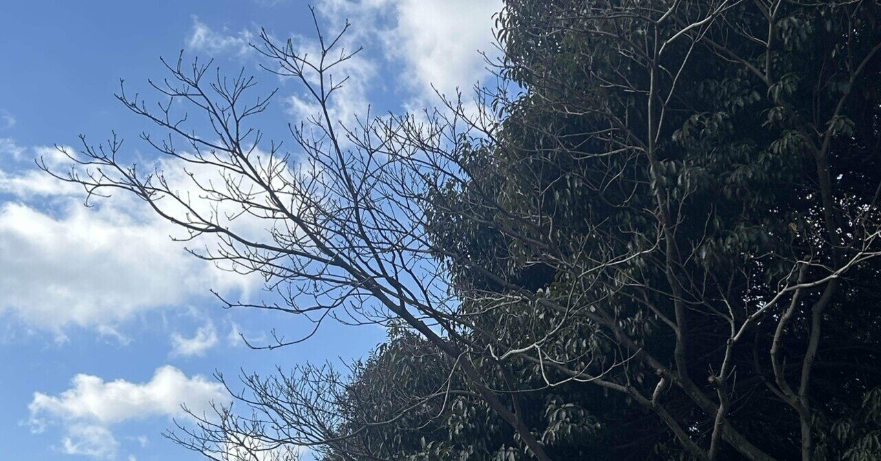 実需なし草コインショート｜タカフミ@クリプトトレーダー