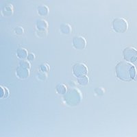 世界中のジャングルの虎がみんな溶けてバターになってしまうくらい好きだ が聴きたくて ちゃぴた Note