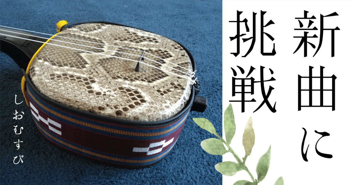 ブランド購入サイト 主婦の趣味 三線③｜しおむすび 和楽器