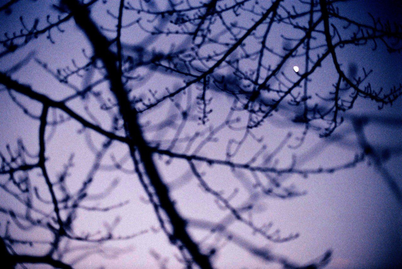 適職診断 芸術家 社会不適合 千鶴 Note