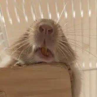 くぅ～とも