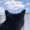 猫子｜親子で育む 自ら育つ力
