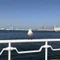 サトウシンジ