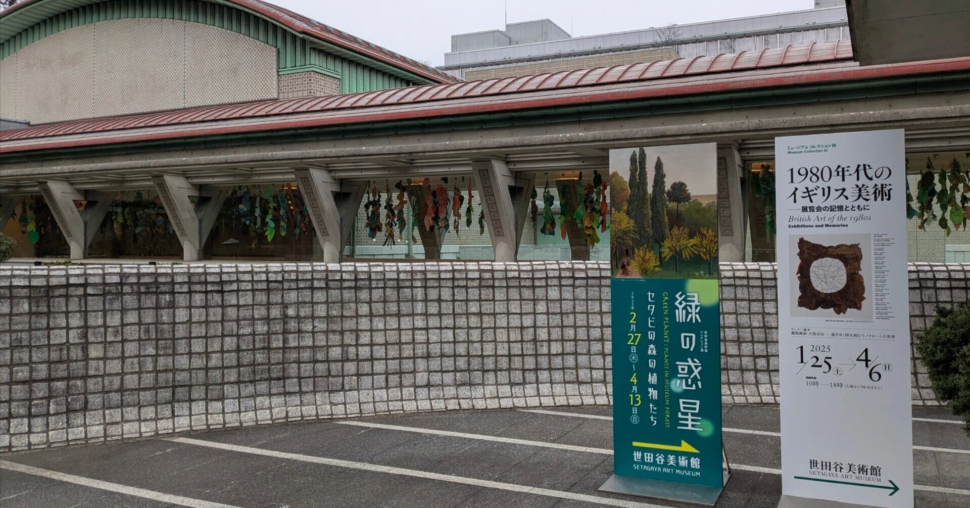 緑の惑星 セタビの森の植物たち 世田谷美術館｜kaji