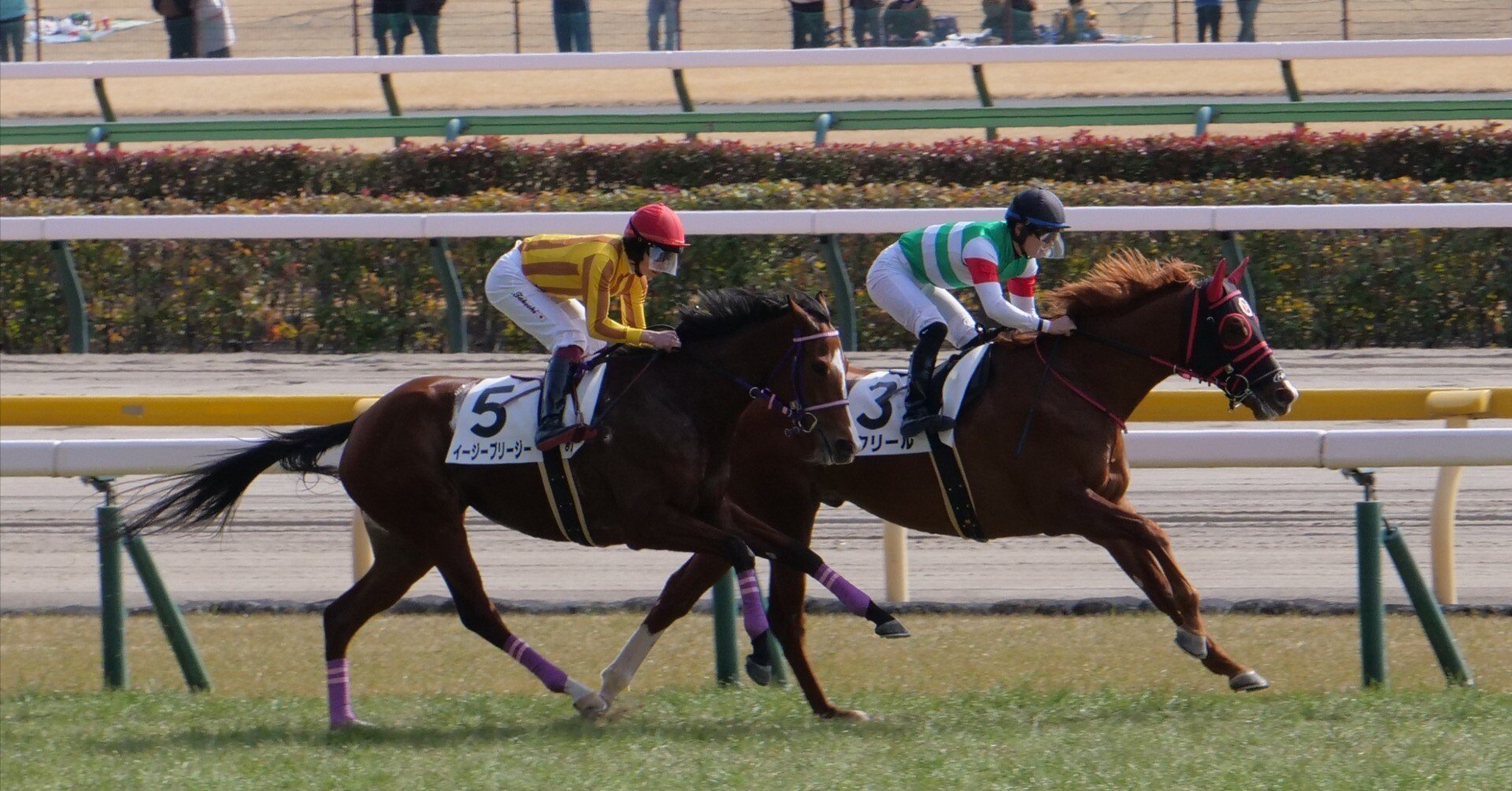 デジタルカメラで撮影しました過去の競馬の写真 旅行記】カメラ好きが初めて競馬をして思ったこと｜プラナリア