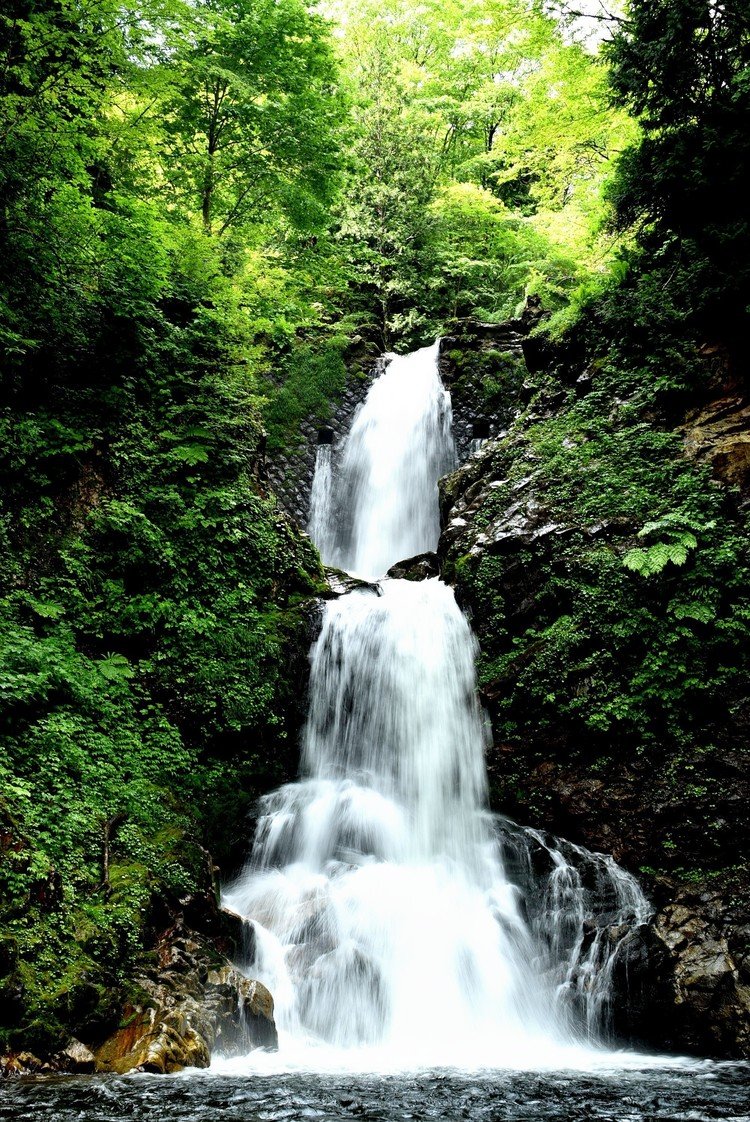 山形県米沢市の白布温泉にある白布大滝。滝付近までいけるけど今の時期は毛虫注意。手袋長袖お勧めです。