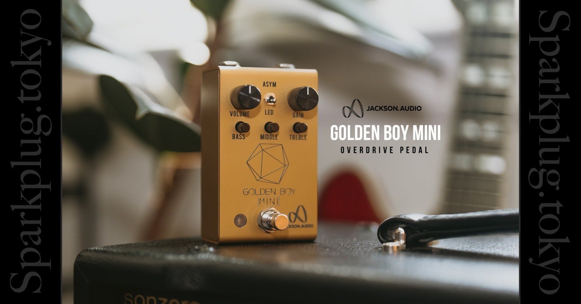 新品 GOLDEN BOY JACKSON AUDIO overdrive GOLDEN BOY | キクタニミュージック