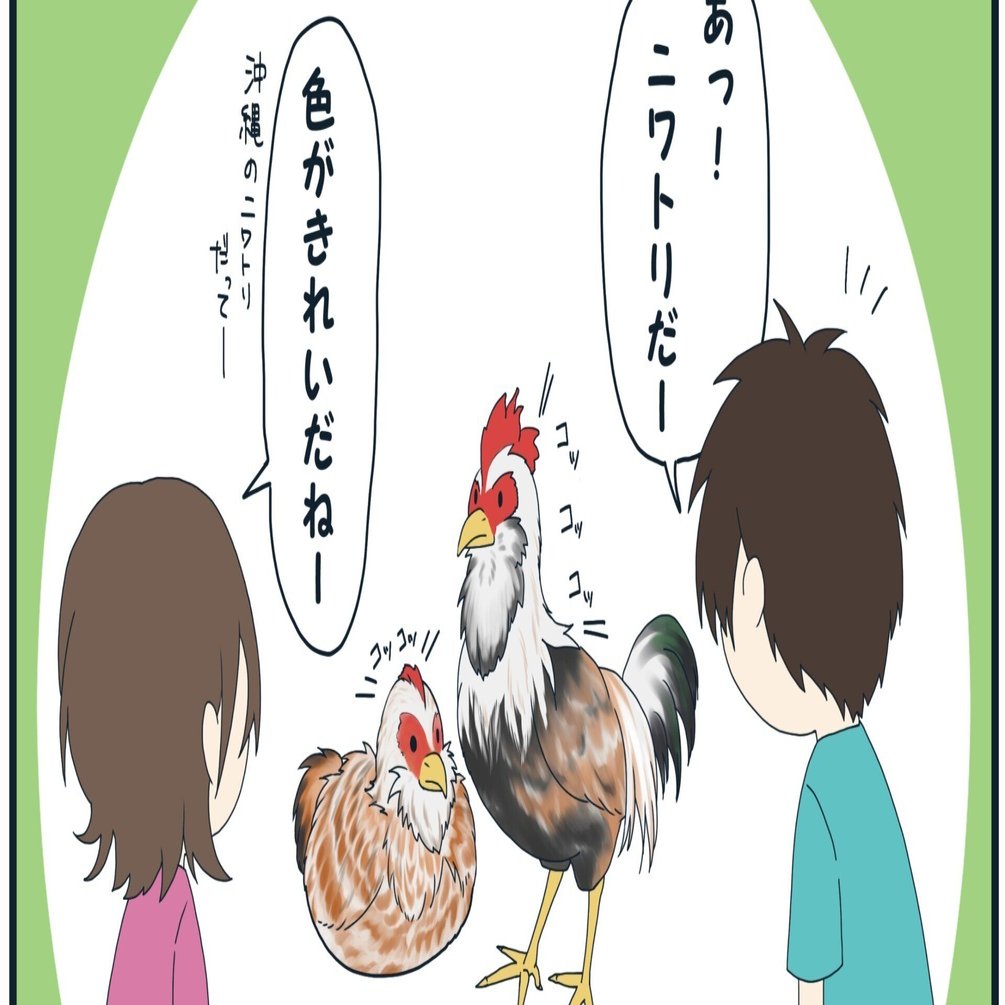 第13弾「沖縄のニワトリの鳴き方」｜沖縄こどもの国 Okinawa Zoo & Museum