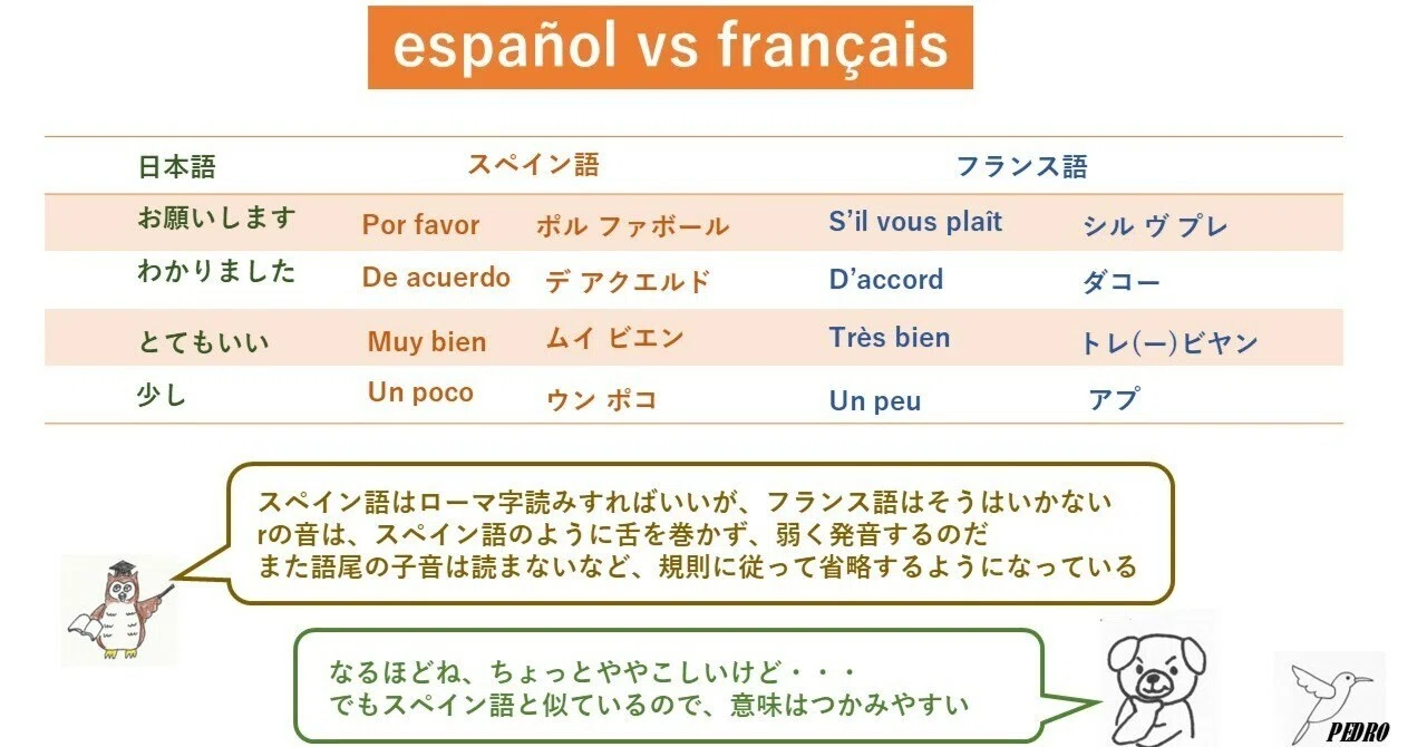 ポケットモンスター ダイヤモンド スペイン語 ＆ パール フランス語 フランス語の先生との掛け合いで、スペイン語のことが少し分かった気が