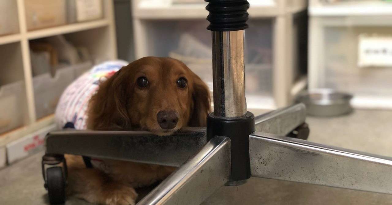 脳腫瘍の疑い manomano Note