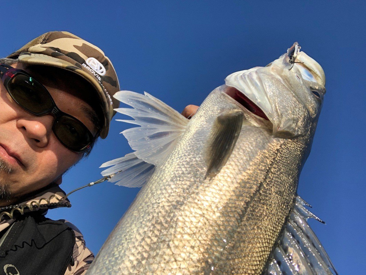 年 どう変わるシーバスフィッシング 宮川 靖 Note