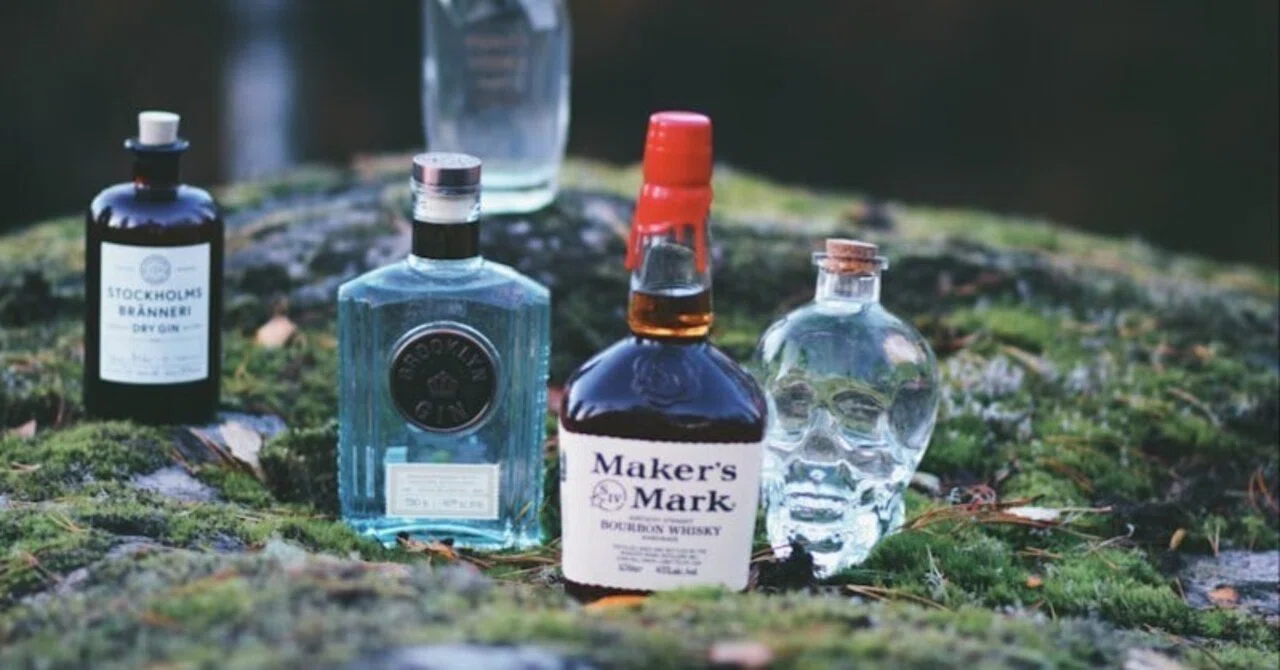 Is it possible to 'become better at drinking'?｜魚谷暗
