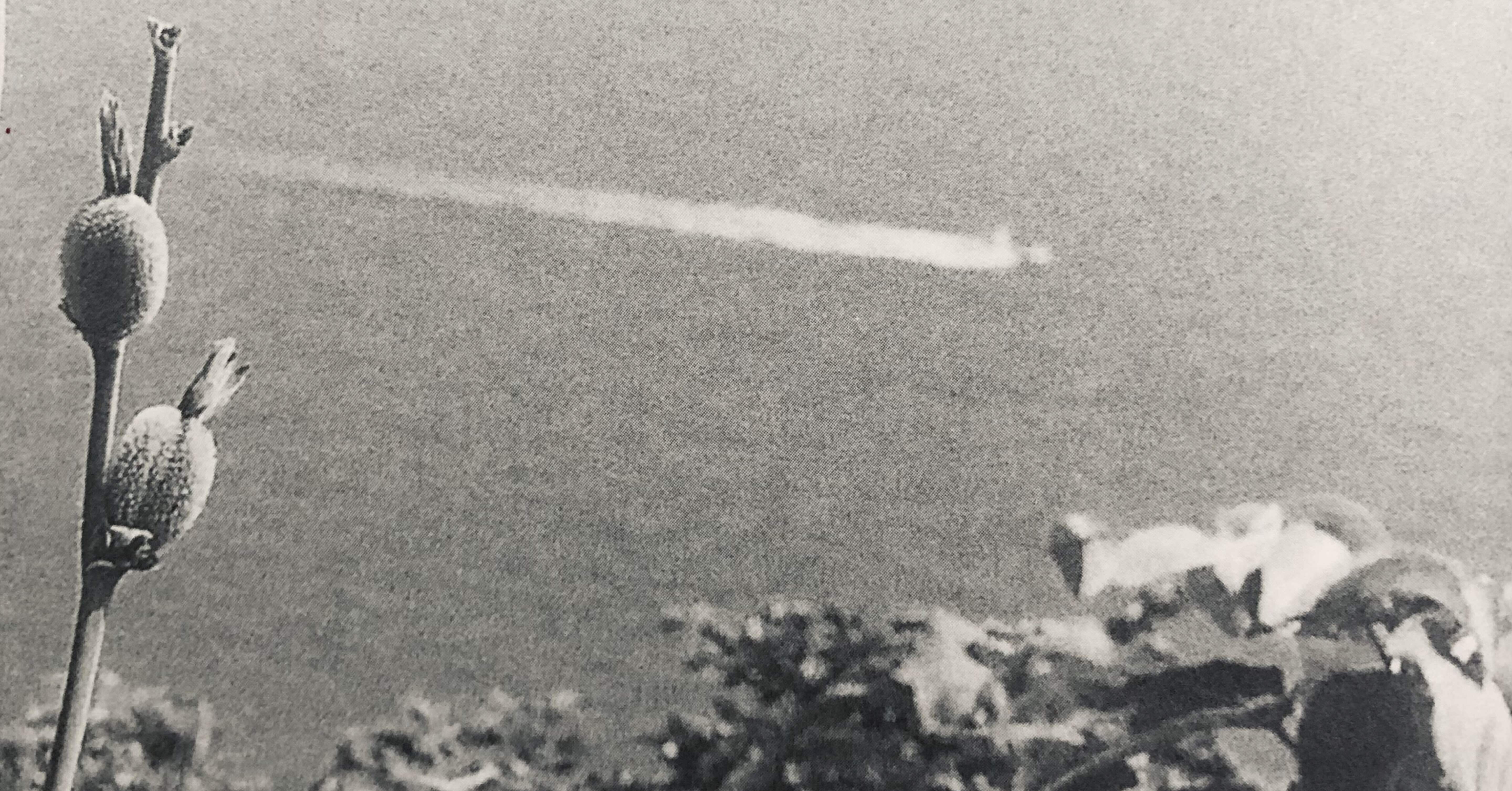 宮本常一『旅の民俗学』（2006 河出書房）｜加藤真史