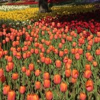 バスソルトの作り方 簡単シンプル Note