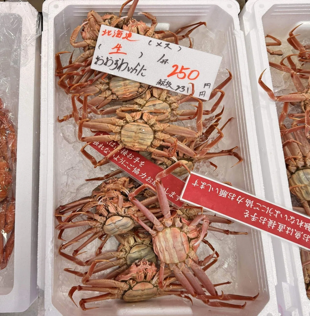 🦀カニの『内子』と『外子』 どう違う？｜かつおjapan