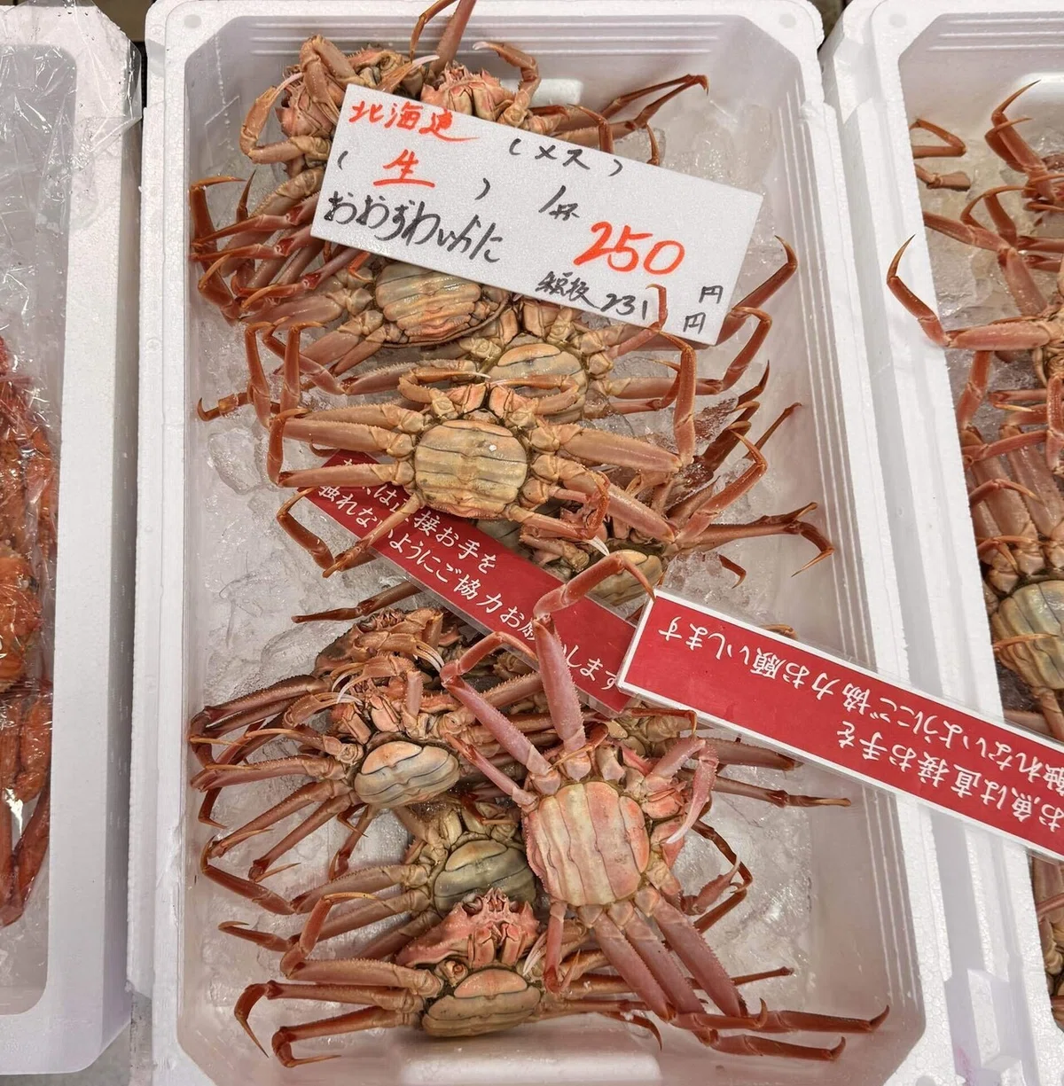 🦀カニの『内子』と『外子』 どう違う？｜かつおjapan