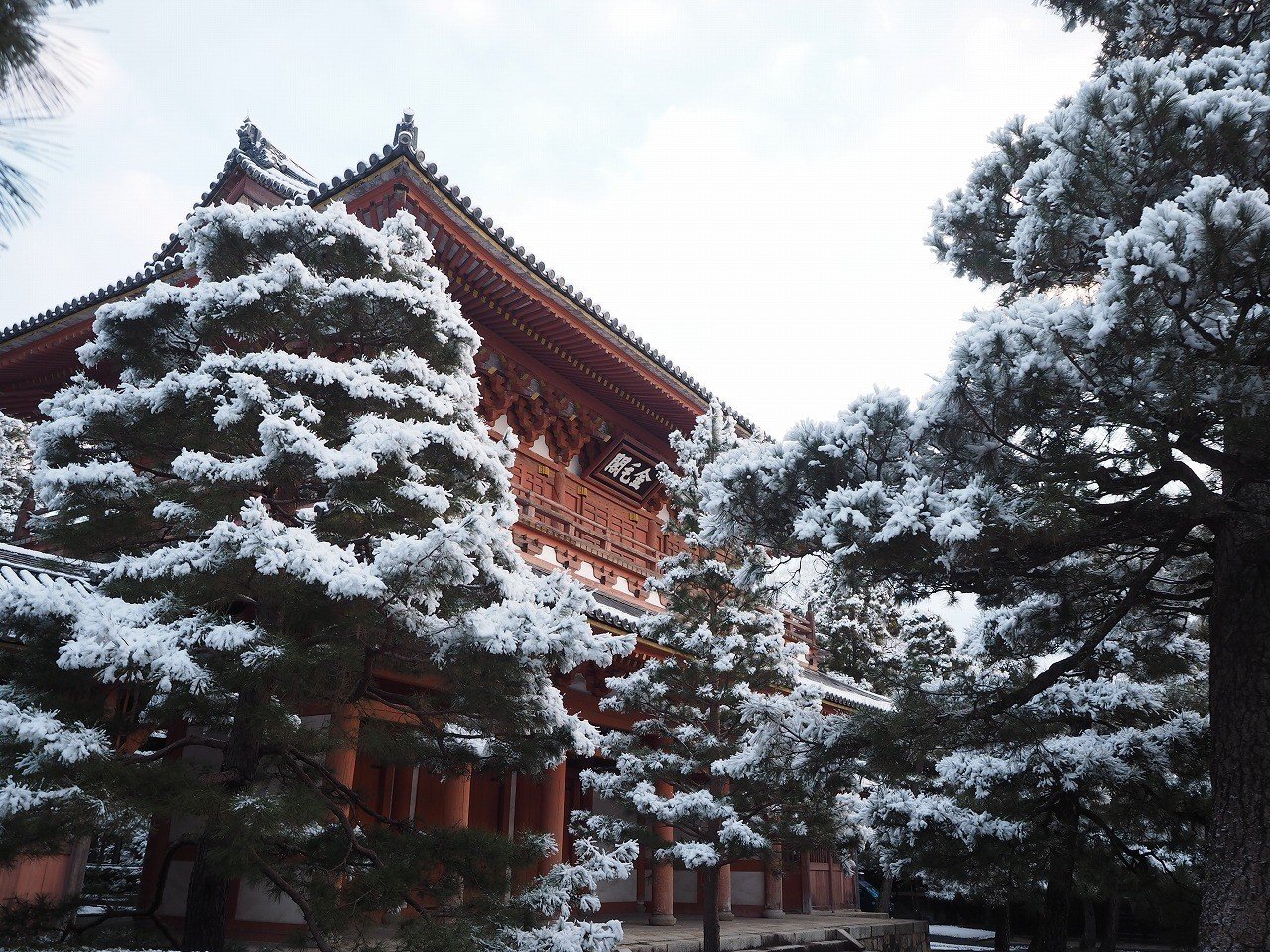 永久保存版！大徳寺を満喫する京都旅｜京都の宿屋のしもおかです 
