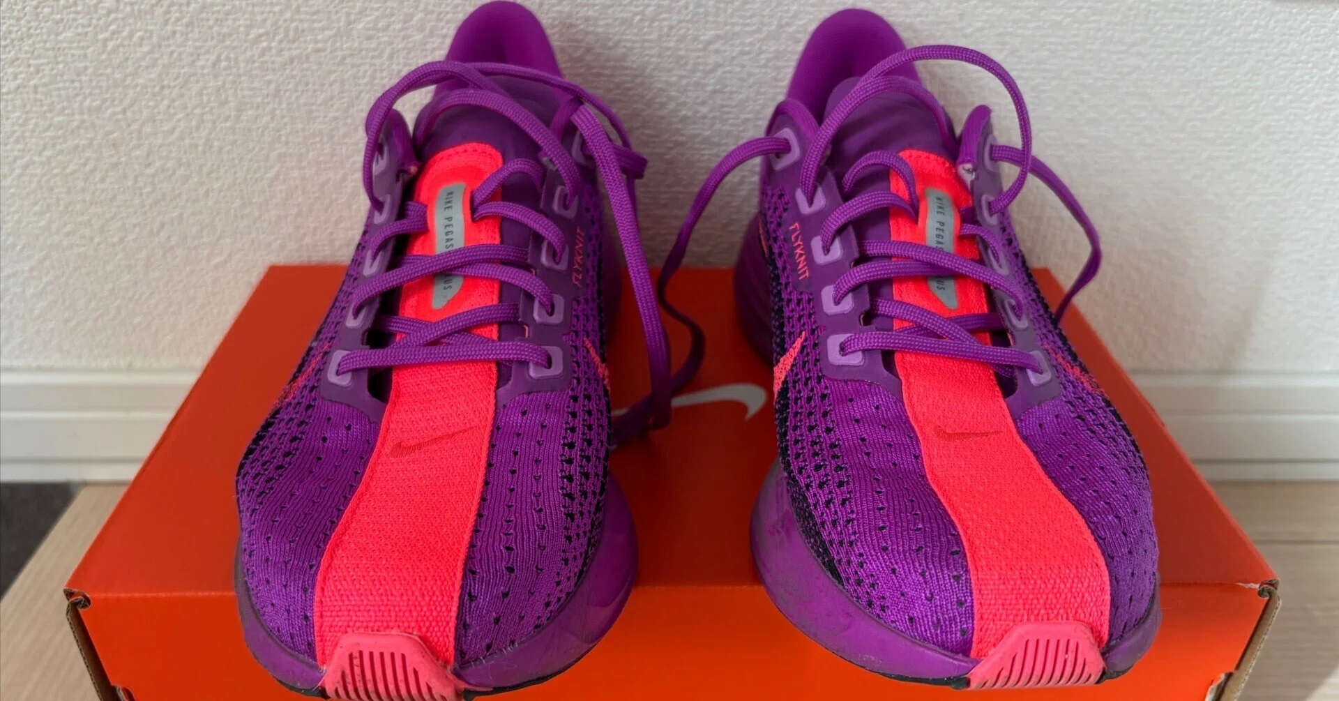 NIKEペガサスプラス 辛口？レビュー｜M.shibu