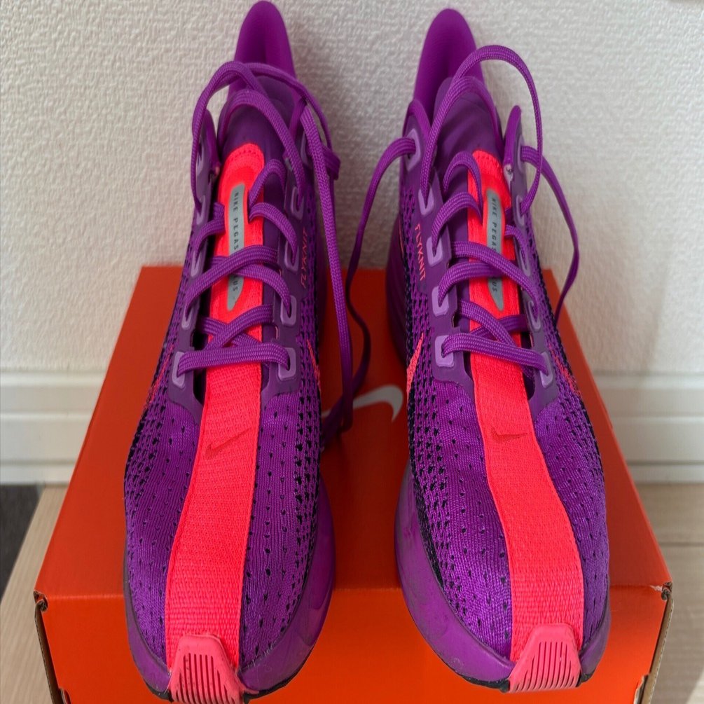 NIKEペガサスプラス 辛口？レビュー｜M.shibu