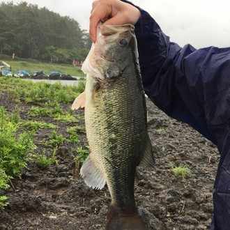 なぜ人は何度も 糸井重里のバス釣りno1 をプレイしてしまうのか Existy Note