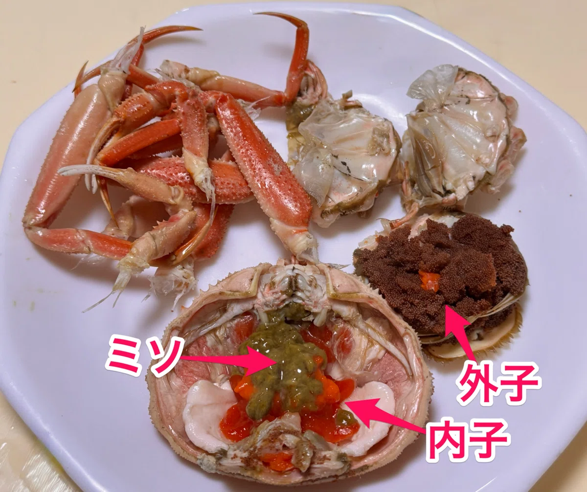 🦀カニの『内子』と『外子』 どう違う？｜かつおjapan