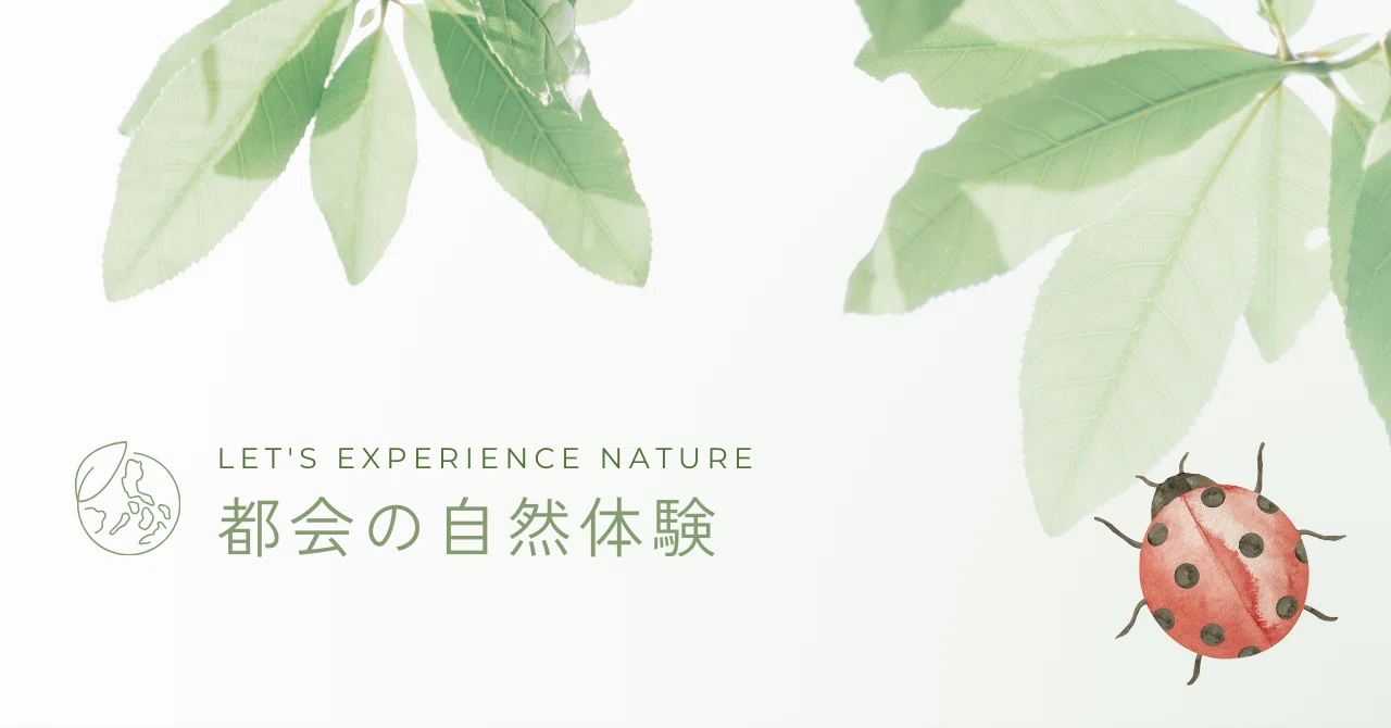 Urban nature that can be felt without going to a nature experience ...