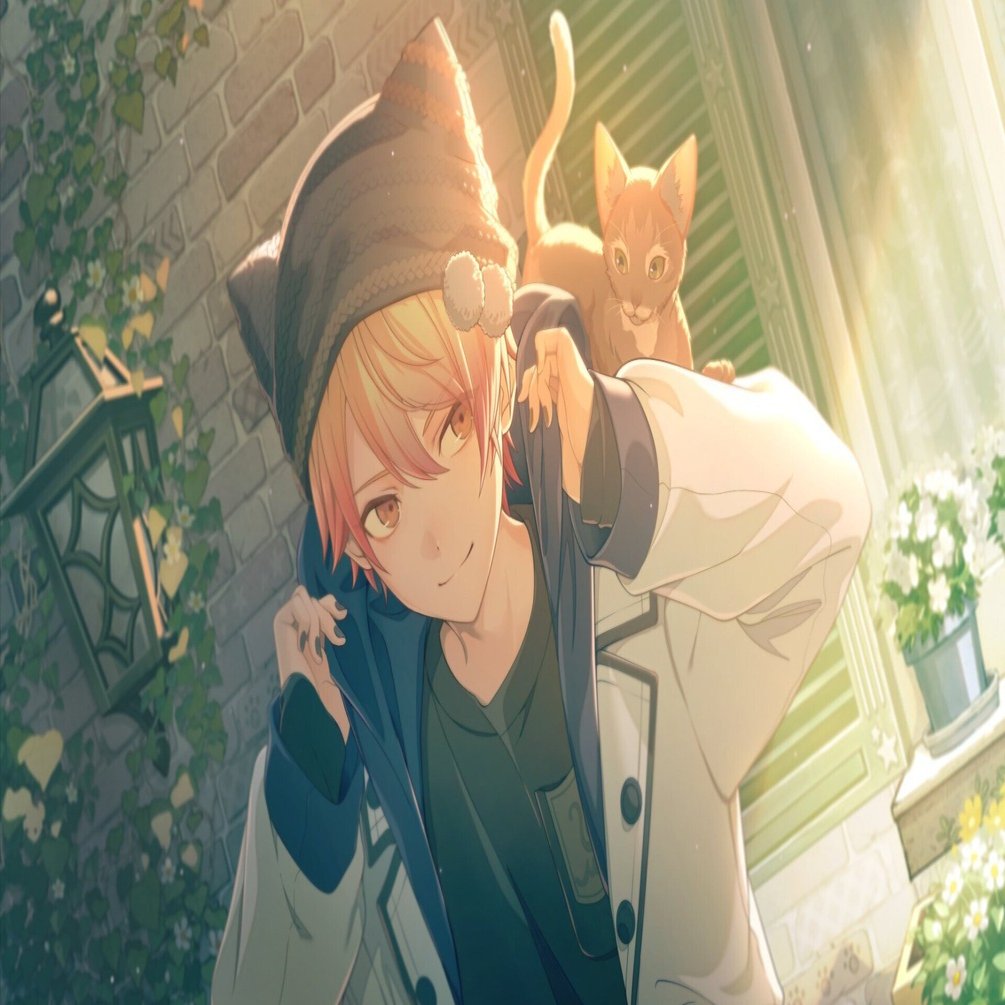 kitty編】プロセカカードまとめ｜もものかんづめ