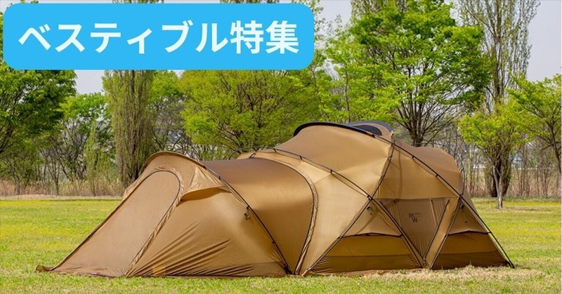 デュシュッツプラスタープ+カーボンポール+トークス チタニウム デュシュッツプラスタープ+カーボンポール+トークス チタニウム