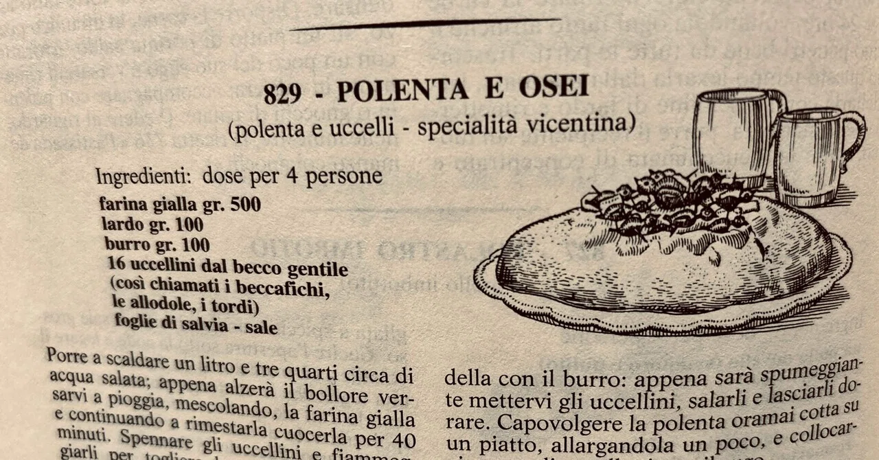 LeRicetteRegionaliItaliane」の人気タグ記事一覧｜note ――つくる
