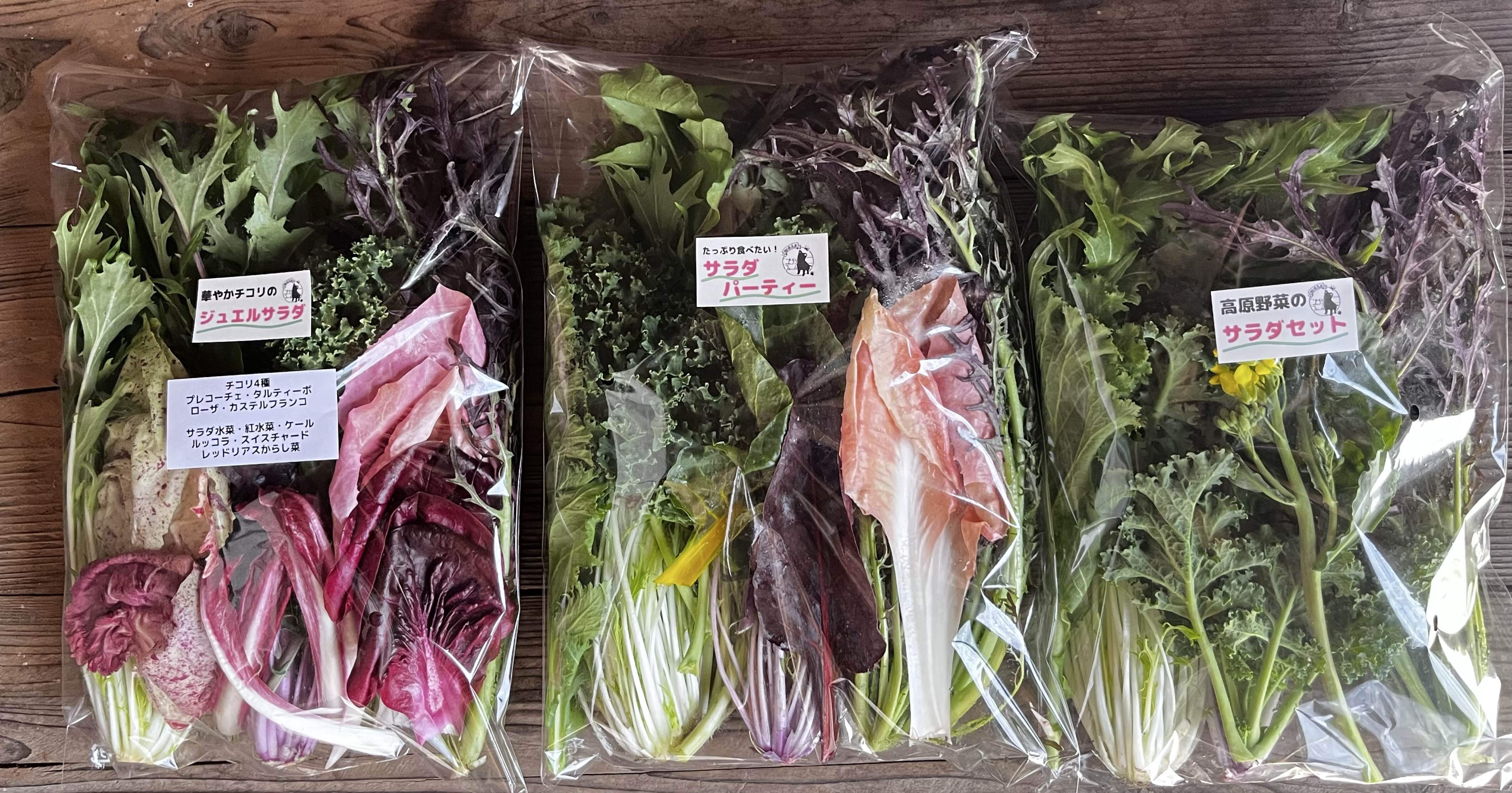 実践！小さい野菜農家の「厚利少売」・後編 ＜高価格帯サラダセットを