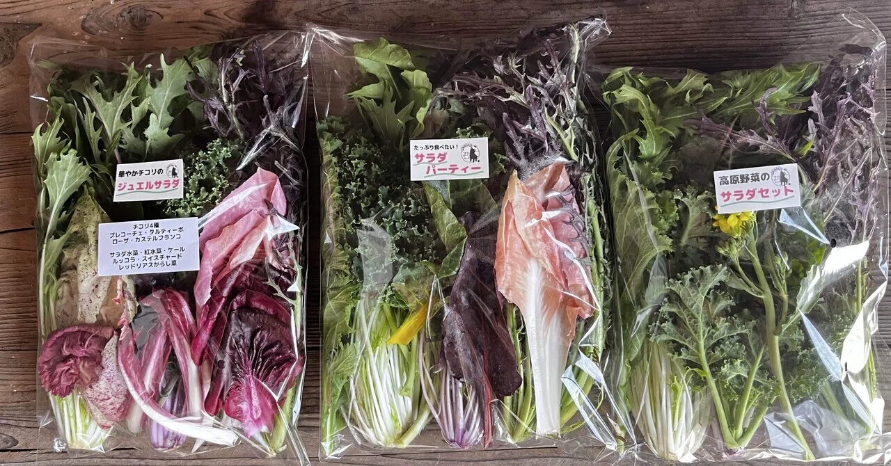 実践！小さい野菜農家の「厚利少売」・後編 ＜高価格帯サラダセットを
