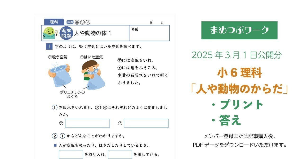 プリント＆答え「小6・理科│人や動物の体のつくりとはたらき」(全6枚