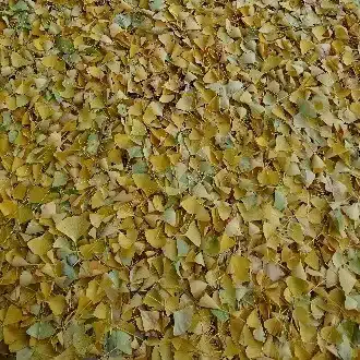 すなはら