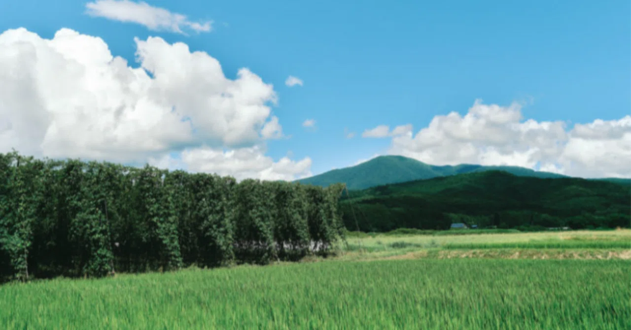 遠野市が「世界の持続可能な観光地100選」で1位|Landscapeapproach