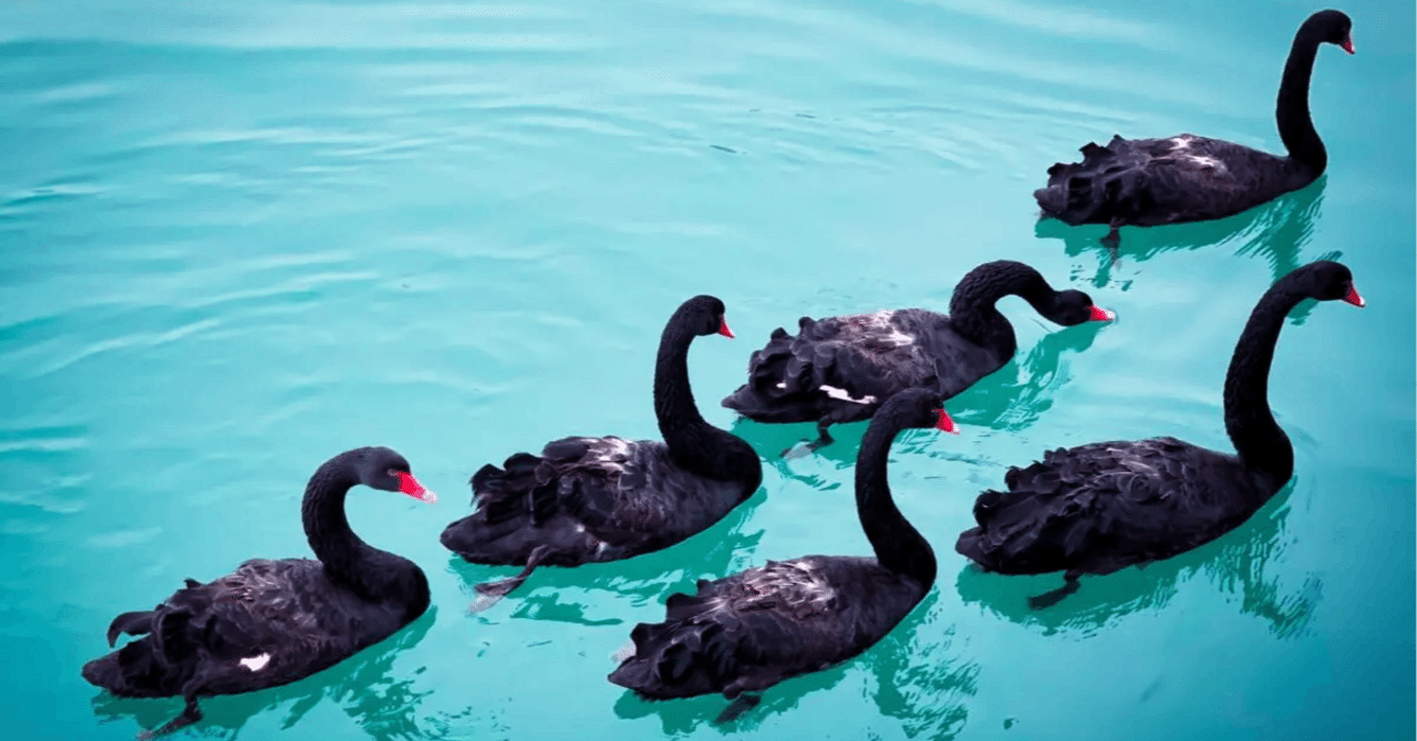 ５分で学ぶ『ブラック・スワン』要約（ナシーム・タレブの理論）【テールリスクを知る】｜鈴木 隆一 / Ryuichi Suzuki