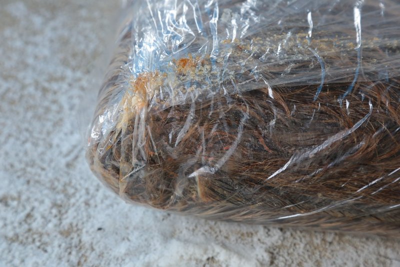 江戸中期から伝わる 皮なめし をイノシシでやってみた 近所の川にさらす 吉野かぁこ Note 江戸中期から伝わる 皮なめし をイノシシでやってみた 近所の川にさらす 吉野かぁこ Note