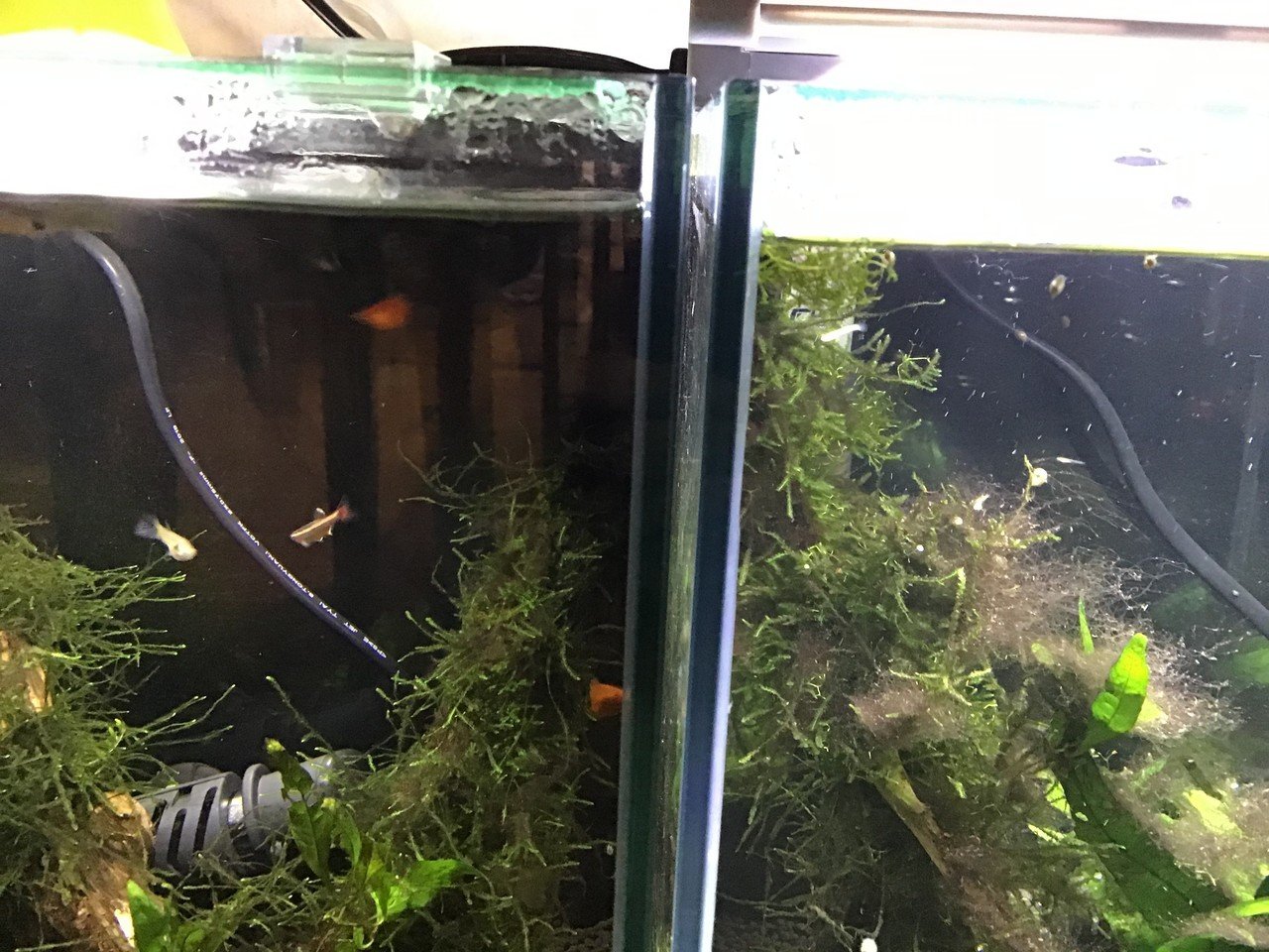 水漏れの危険 水槽替えー ゆーいちの水槽部屋 Note