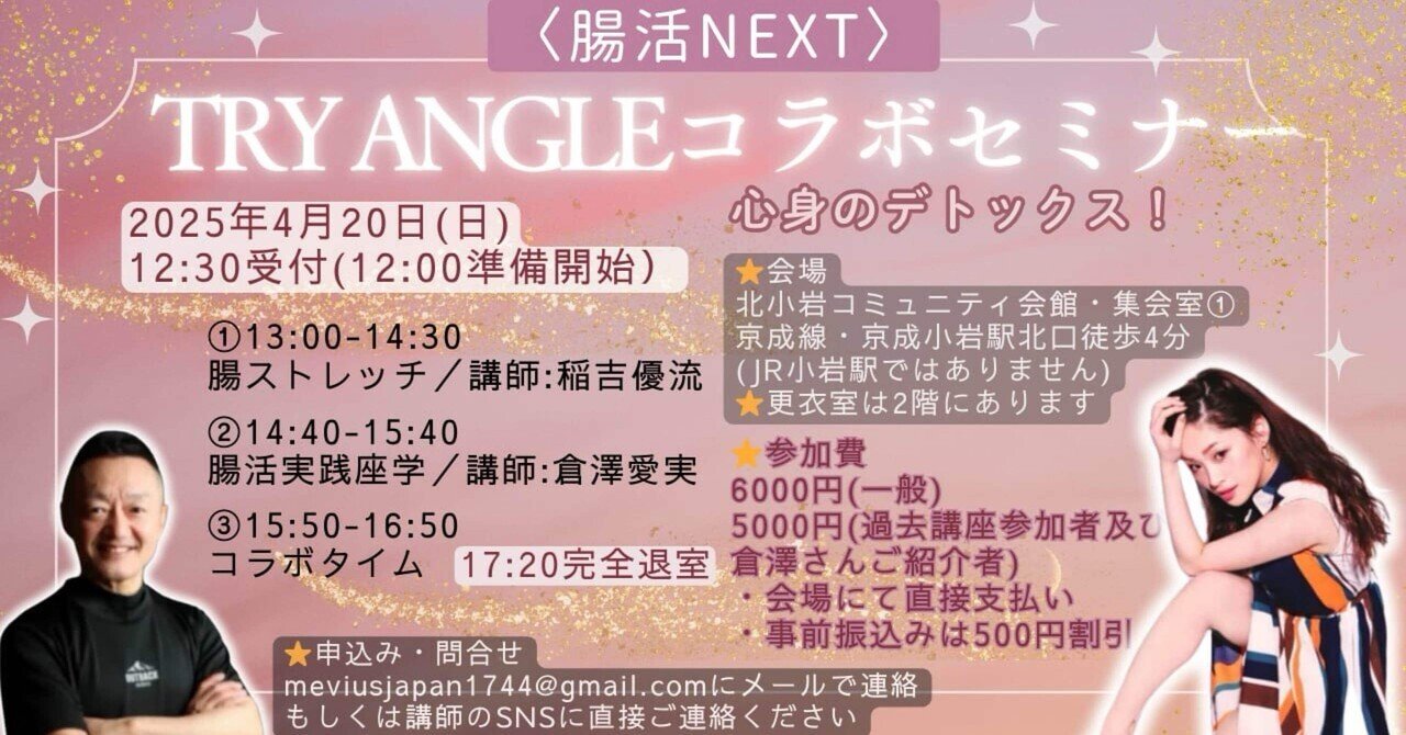 トラさんセミナー 2014　他 セット 楽天市場】【P10倍】 Z-DRAGON 製品制電ストレッチ長袖