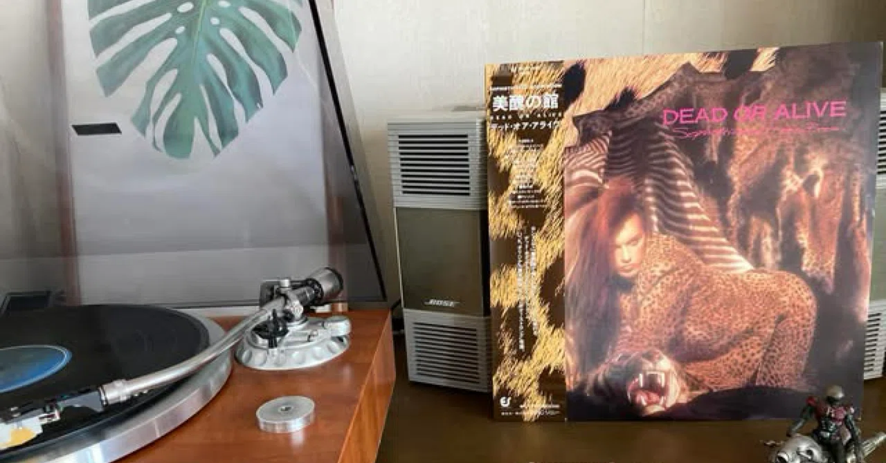 音楽80s自分史 089 「Dead Or Alive／Sophisticated Boom Boom（美醜の 